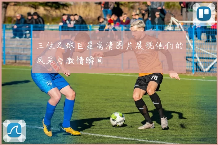 三位足球巨星高清图片展现他们的风采与激情瞬间