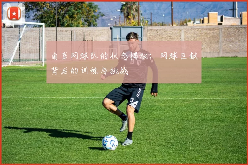 南京网球队的状态揭秘：网球巨献背后的训练与挑战