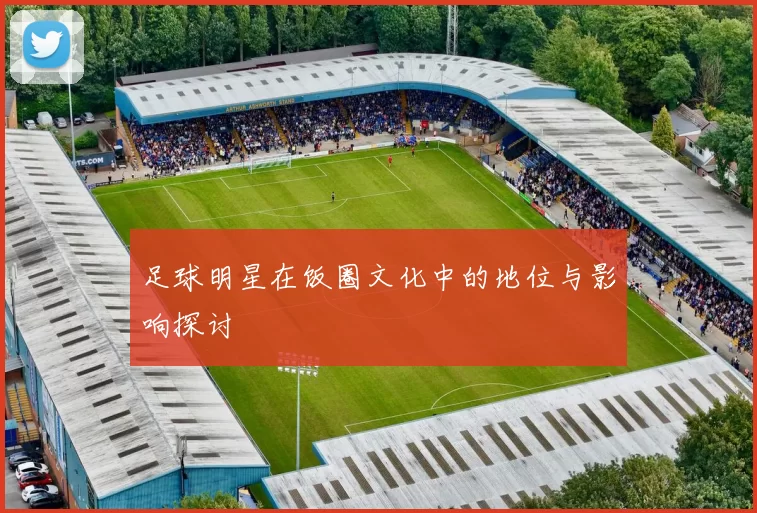 足球明星在饭圈文化中的地位与影响探讨