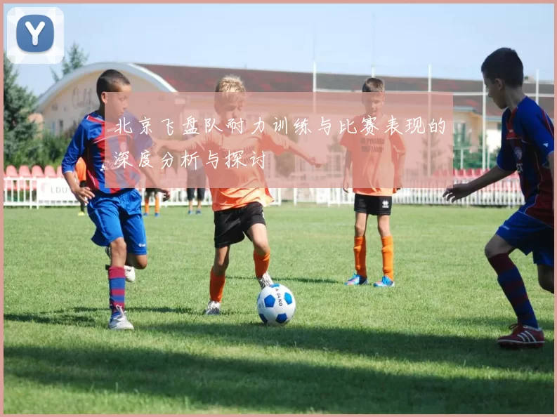 北京飞盘队耐力训练与比赛表现的深度分析与探讨