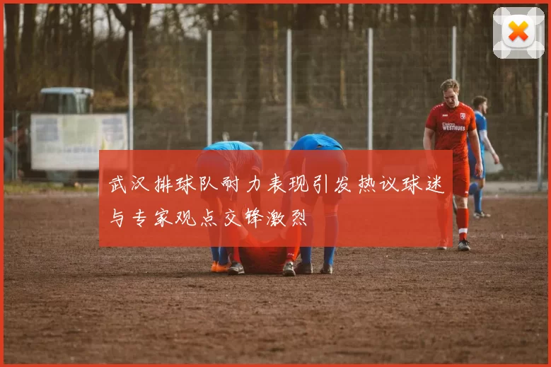 武汉排球队耐力表现引发热议球迷与专家观点交锋激烈