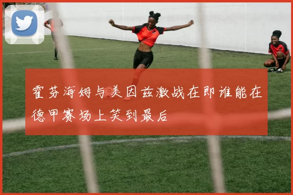 霍芬海姆与美因兹激战在即谁能在德甲赛场上笑到最后