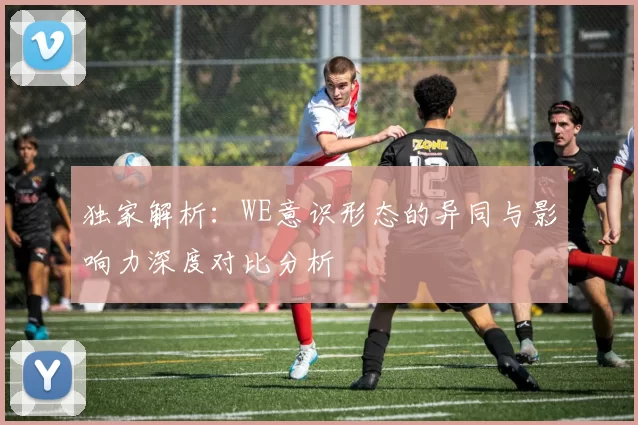 独家解析：WE意识形态的异同与影响力深度对比分析