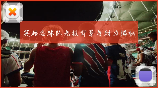 英超各球队老板背景与财力揭秘