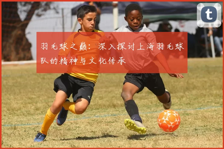 羽毛球之巅：深入探讨上海羽毛球队的精神与文化传承