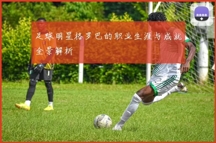 足球明星格罗巴的职业生涯与成就全景解析