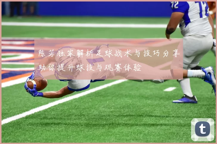 陈芳独家解析足球战术与技巧分享助你提升球技与观赛体验