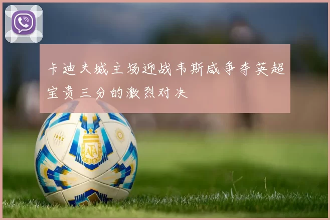 卡迪夫城主场迎战韦斯咸争夺英超宝贵三分的激烈对决