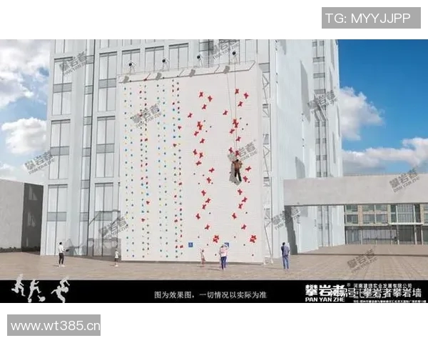 攀岩战术解析：深入探讨北京攀岩队的盯防体系与战术运用